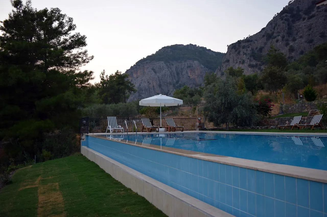 *** Aparthotel In Forest Goecek Turkey
